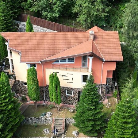 Marble Villa: Luxury Estate - Central But Intimate Сіная Екстер'єр фото