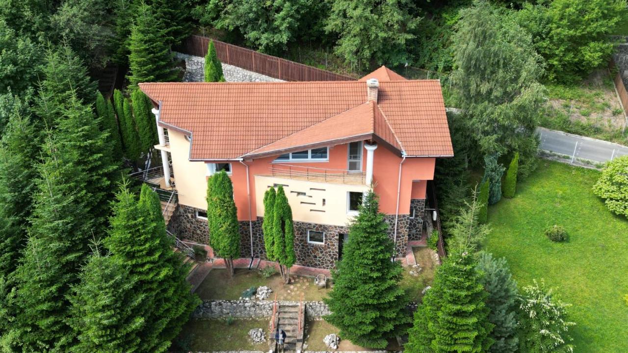 Marble Villa: Luxury Estate - Central But Intimate Сіная Екстер'єр фото